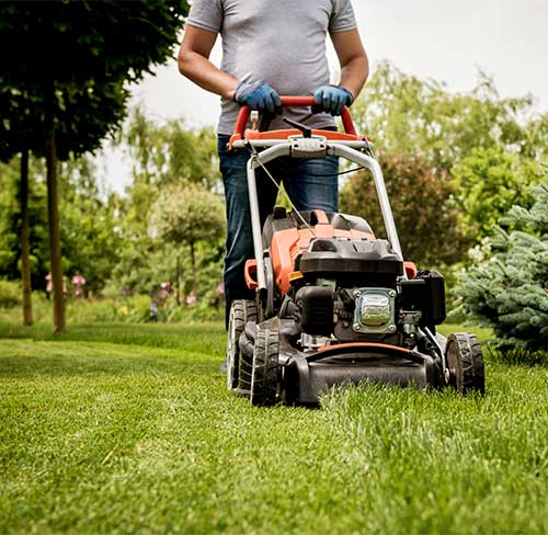 Lawn mowing services in Newcastle NSW