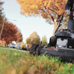 Mowing your lawn in Winter in Newcastle NSW