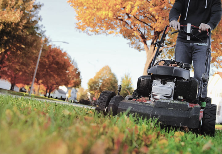 Mowing your lawn in Winter in Newcastle NSW