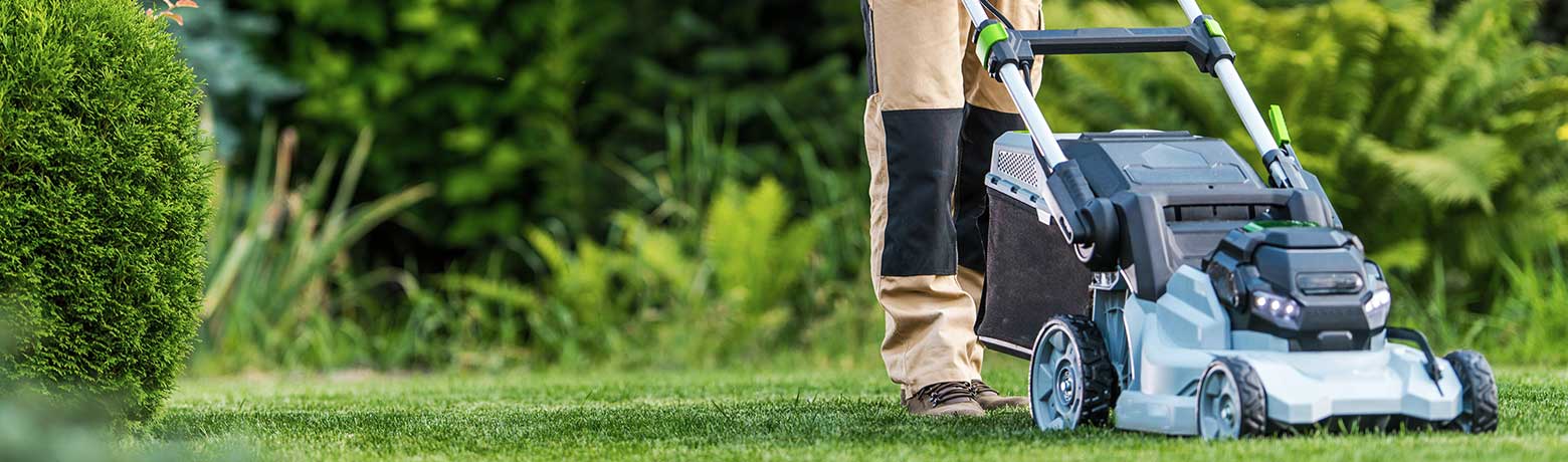 Mowing your lawn in Winter in Newcastle NSW