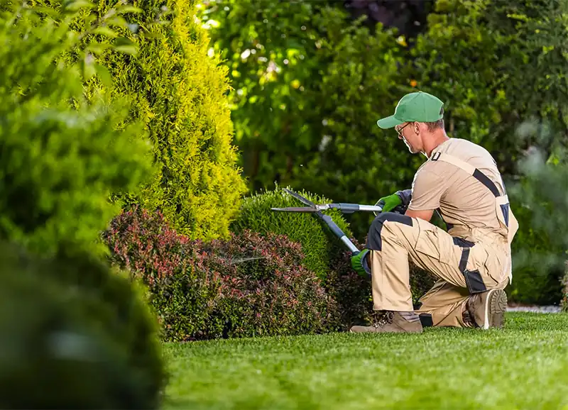 Grounds Maintenance in Newcastle, Maitland and Hunter Valley NSW